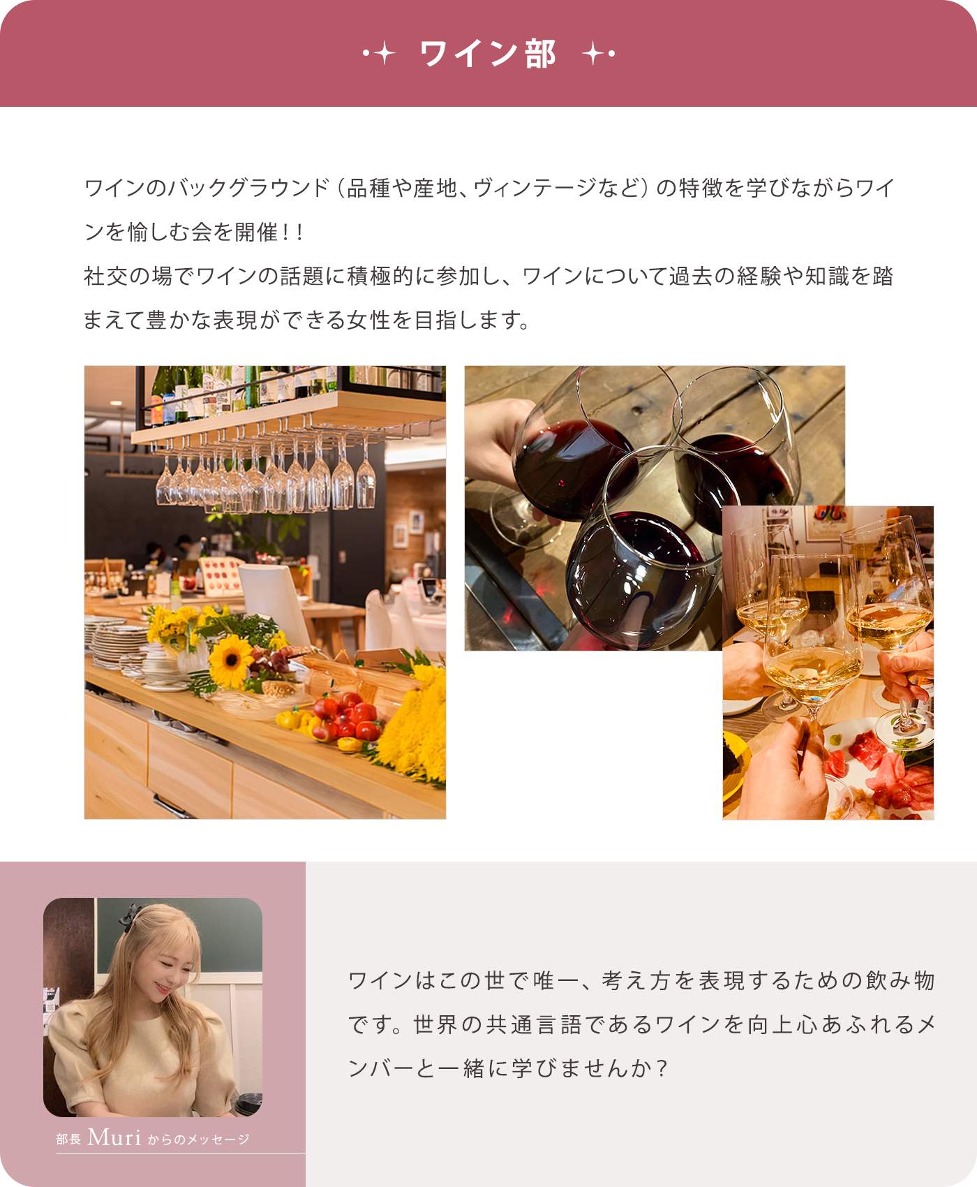 【ワイン部】ワインのバックグラウンド（品種や産地、ヴィンテージなど）の特徴を学びながらワインを愉しむ会を開催！！社交の場でワインの話題に積極的に参加し、ワインについて過去の経験や知識を踏まえて豊かな表現ができる女性を目指します。/【部長Aoiからのメッセージ】ワインはこの世で唯一、考え方を表現するための飲み物です。世界の共通言語であるワインを向上心あふれるメンバーと一緒に学びませんか？